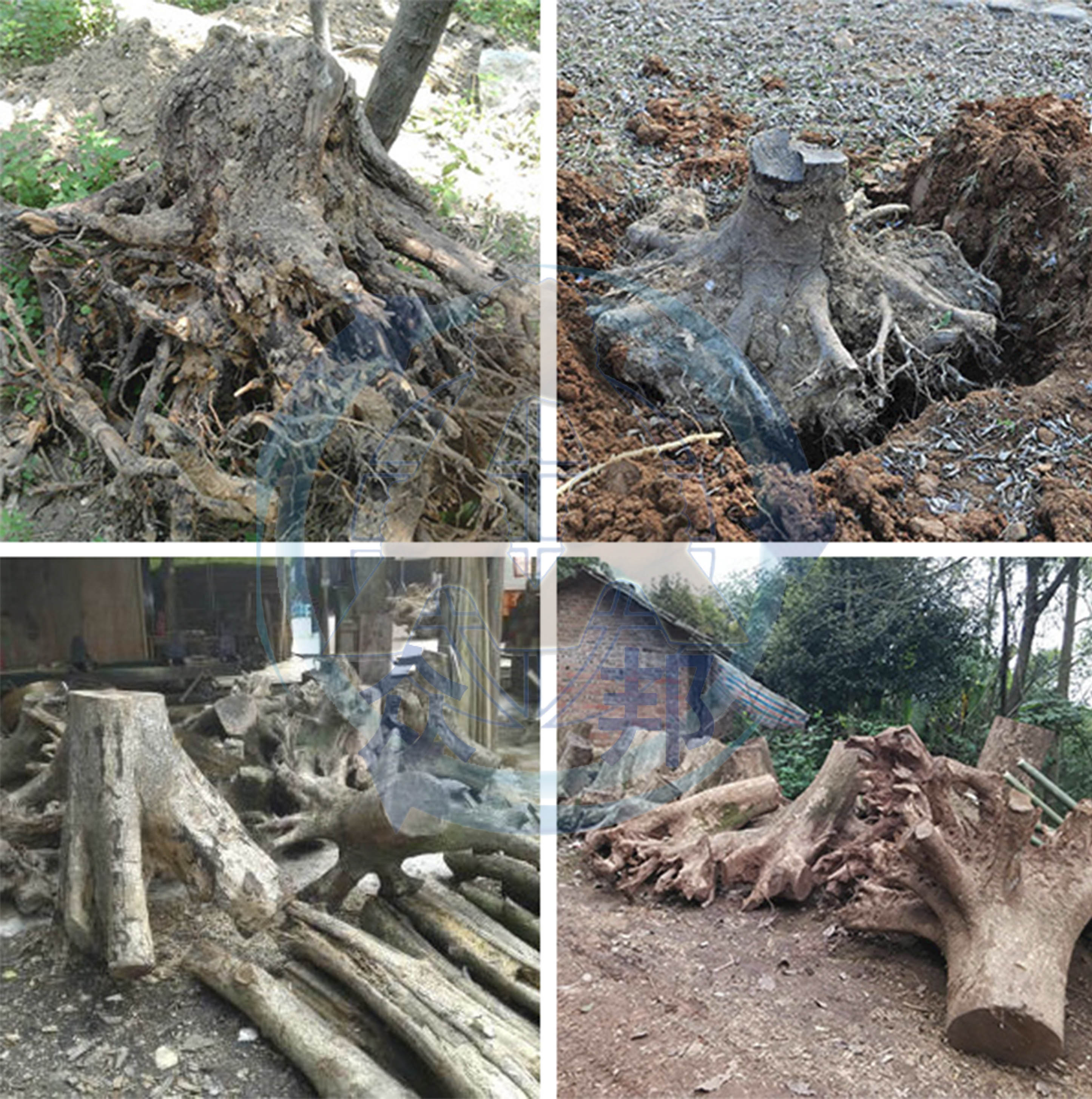 圓盤式樹(shù)根破碎機(jī)破碎原料