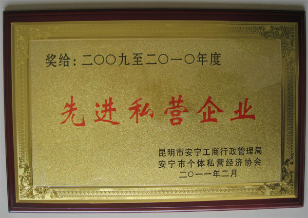 先進私營企業(yè)